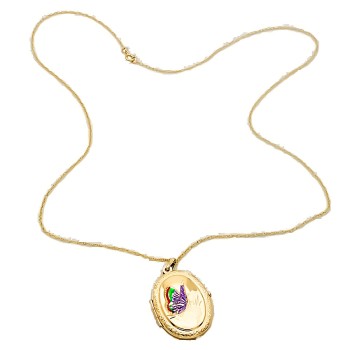 9ct gold 3.6g 18 inch Locket with chain